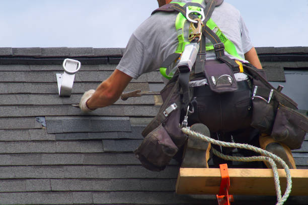Best Flat Roof Repair Services  in Delphi, IN