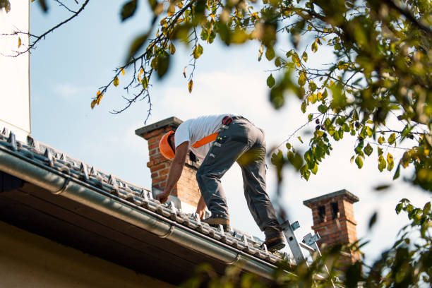 Best New Roof Installation  in Delphi, IN