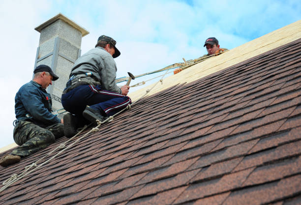 Best Local Roofing Companies  in Delphi, IN